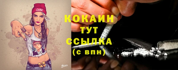 твердый Аркадак