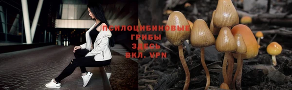 2c-b Баксан