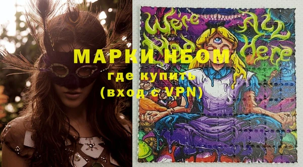твердый Аркадак
