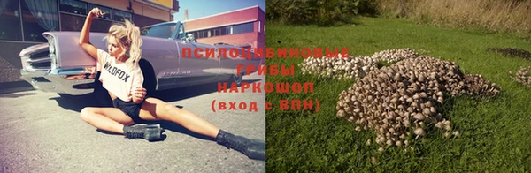 ПСИЛОЦИБИНОВЫЕ ГРИБЫ Балабаново