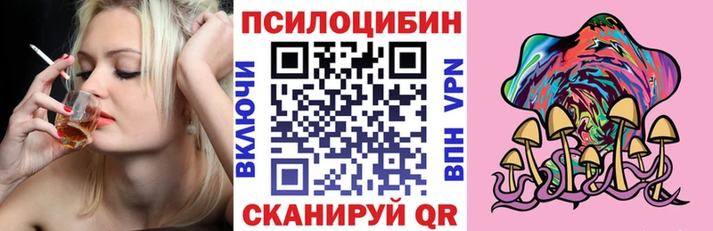 blacksprut как войти Новосиль Псилоцибиновые грибы Psilocybe где найти